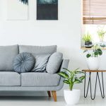 Mixing Warm and Cool Tones: Insights from Top Interior Designers