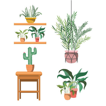 Blending Nature with Architectural Elements