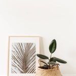 The Influence of Nature: Organic Accent Colors and Their Popularity