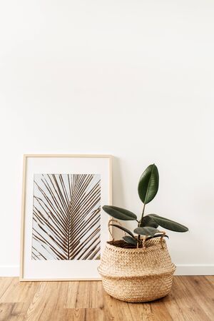 The Influence of Nature: Organic Accent Colors and Their Popularity