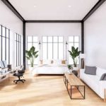 The Impact of Natural Light on Plants and Indoor Air Quality