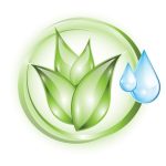 Eco-Friendly Walk-In Shower and Tub Designs: Sustainable Choices for a Greener Home