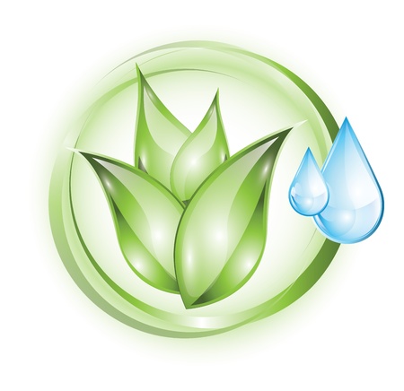 Eco-Friendly Walk-In Shower and Tub Designs: Sustainable Choices for a Greener Home