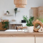 Harnessing Natural Light: How to Design Bright and Airy Spaces