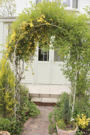 How to Decorate Your Pergola for Seasonal and Year-Round Enjoyment