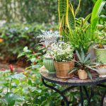 Creating a Seamless Indoor-Outdoor Living Experience with a Modern Patio