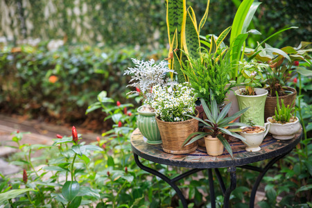 Creating a Seamless Indoor-Outdoor Living Experience with a Modern Patio