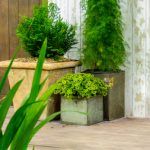 Eco-Friendly Decking Materials: What to Choose for a Sustainable Outdoor Space