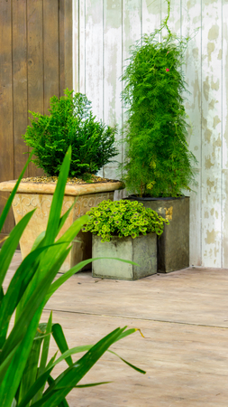 Eco-Friendly Decking Materials: What to Choose for a Sustainable Outdoor Space