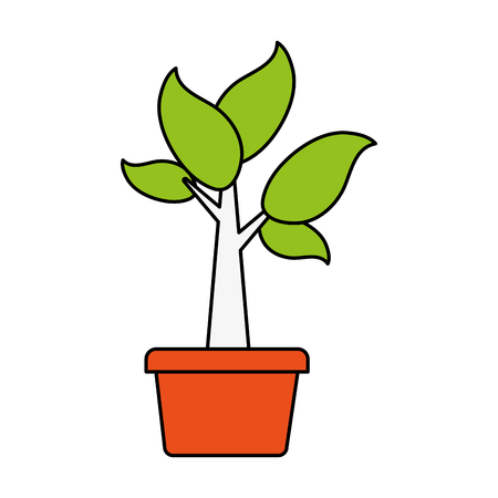 The Role of Plants in Indoor Air Quality