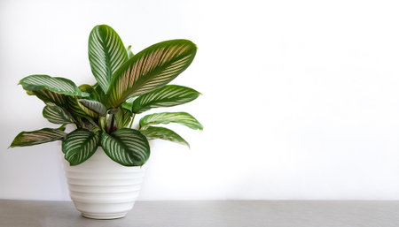 Integrating Greenery and Plants into a Spa Bathroom for a Natural Feel