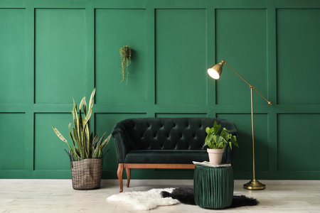 The Best Plants to Complement a Bohemian and Eclectic Decor Style