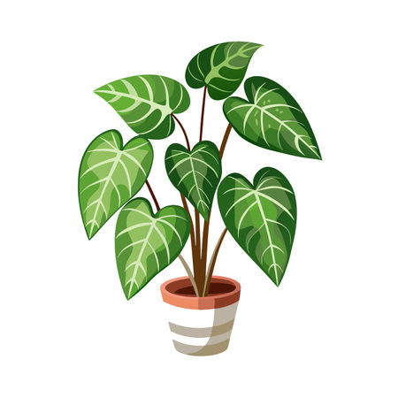 Top Plant Picks for the Boho-Eclectic Look