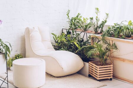 Designing Outdoor Spaces That Function Like Indoor Rooms