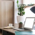 Integrating Natural Elements into Your Home Office for a Balanced and Calming Workspace